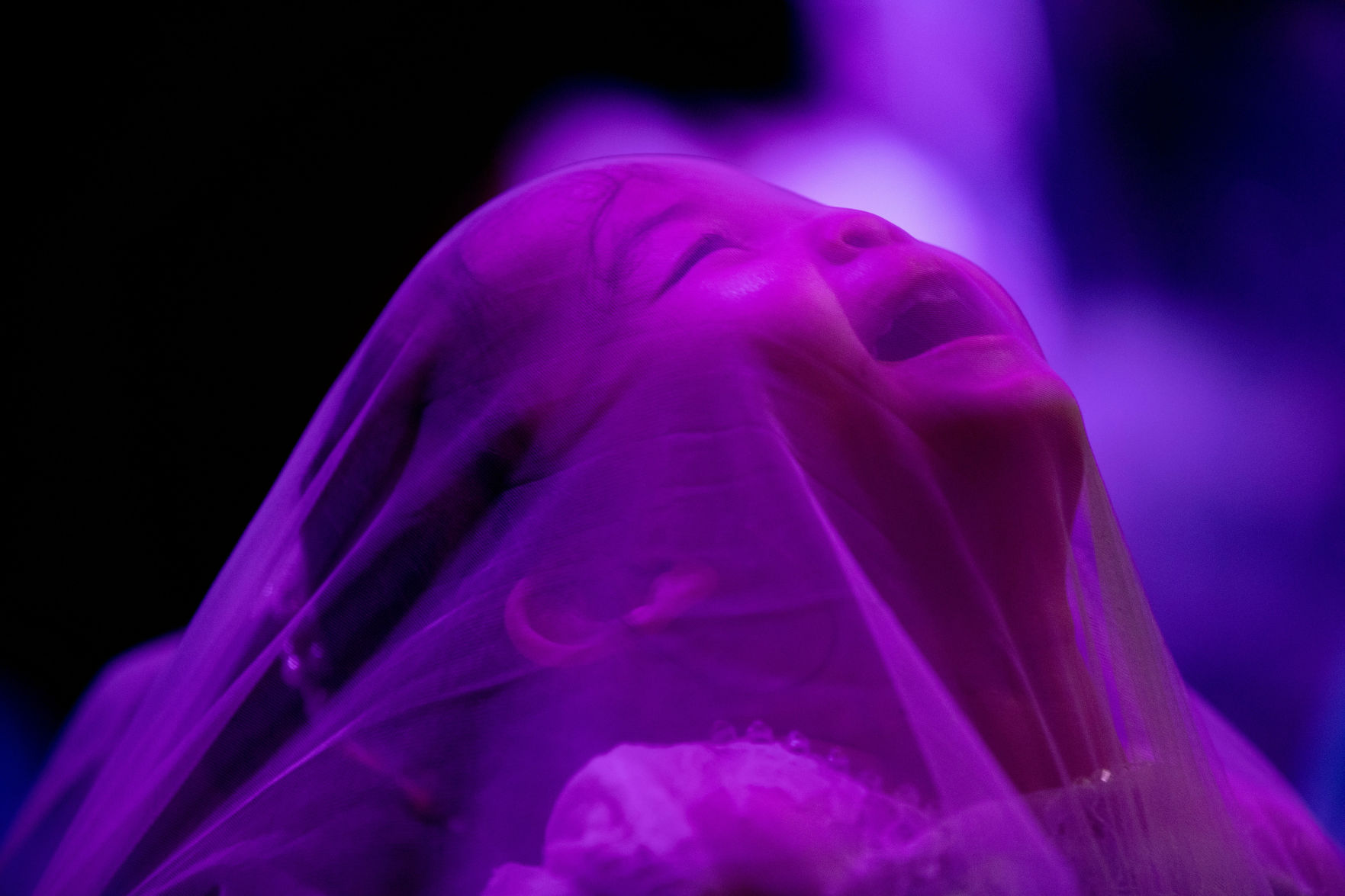 011320-enchantedball 11.jpg